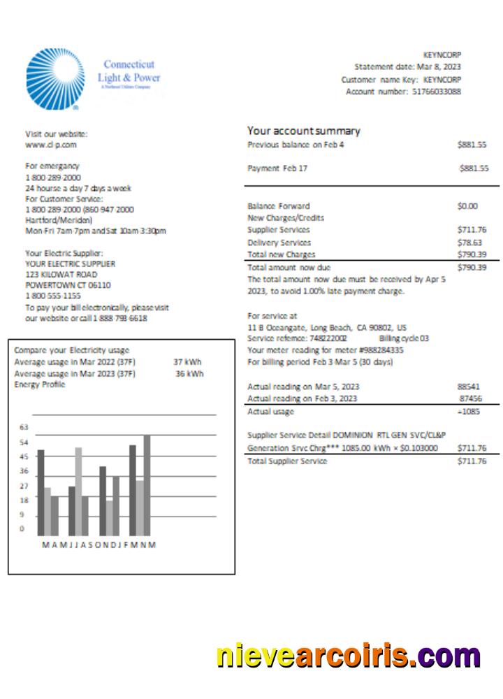 Connecticut Light & Power electricity utility business bill